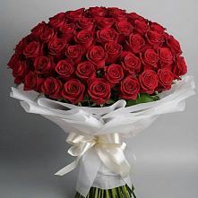 Букет 101 Красная роза Блэк Мэджик в Янино 1