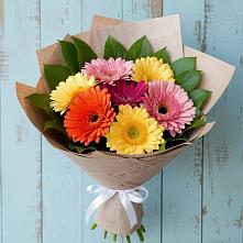 Букет цветов из:  Герберы #REPLACE_PRED# Янино 1