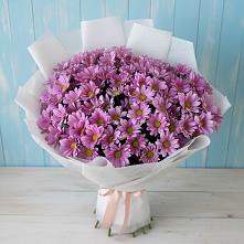 Букет цветов из:  Хризантемы в Янино 1