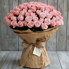 Букет 151 Роза Роуз #REPLACE_PRED# Янино 1