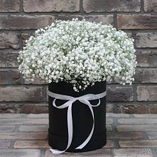 Цветочная композиция из Гипсофила в шляпной коробке в Янино 1