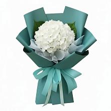 Букет цветов из:  Гортензия в Янино 1